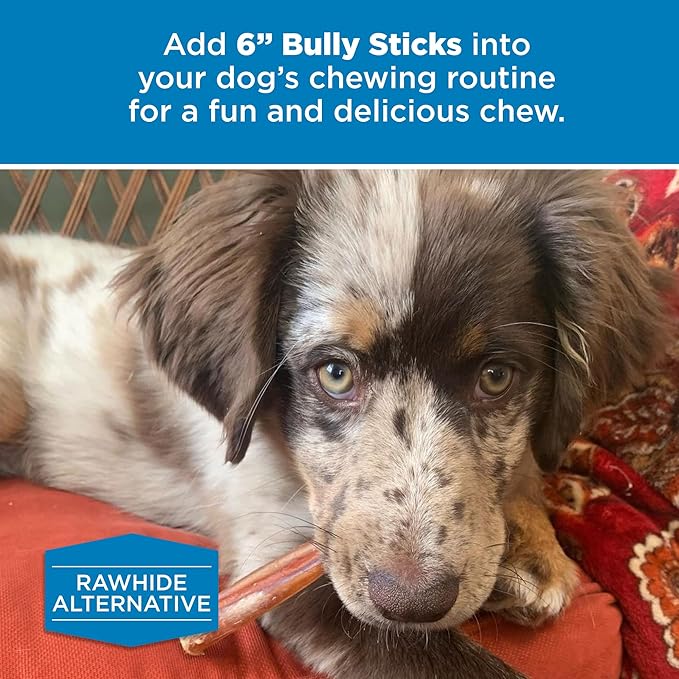 Best Bully Sticks 6 Inch All-Natural Bully Sticks for Dogs - 6” Easily Digestible, 100% Grass-Fed Beef, Grain and Rawhide Free | 50 Pack