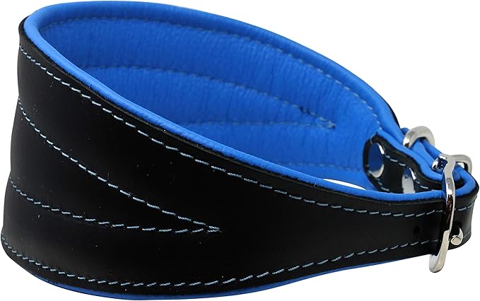 Real Leather Extra Wide Padded Tapered Dog Collar Glossy Black Greyhound Saluki Deerhound Lurcher Whippet Dachshund (13.25"-15.25" Neck; 2.5" Wide, Blue)