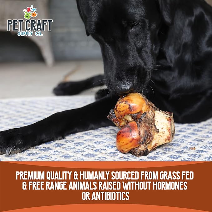 Pet Craft Supply ALL Natural Healthy Buffalo Femur Center Knuckle Bones Dog Chews Treats for Aggressive Chewers Long Lasting Rawhide Free Premium Grade Slow Roasted for Medium Large Dogs