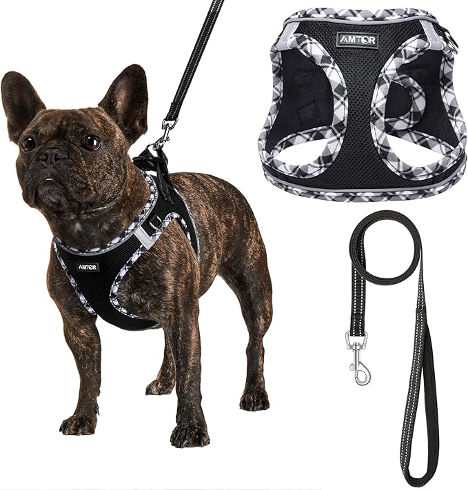 AMTOR Small Dog Harness with Leash Set, No Escape Easy Walk Puppy Harnesses for Training Walking, Step-in Reflective Soft Dogs Vest for XS S Medium Extra-Small Large Sized Dog(Blackwhite,XS)