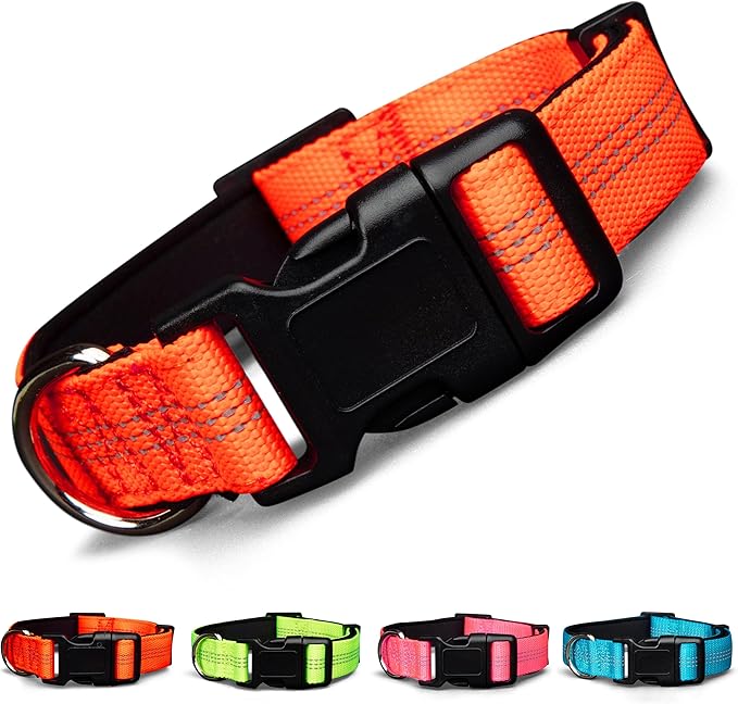 BLAZIN 'Color Me Happy!' Reflective Dog Collar for Day and Night - Adjustable Soft Neoprene Padded Dog Collar in 4 Vibrant Colors - Keeps Dogs Safe and Stylish - for Every Day Use (Small Orange)