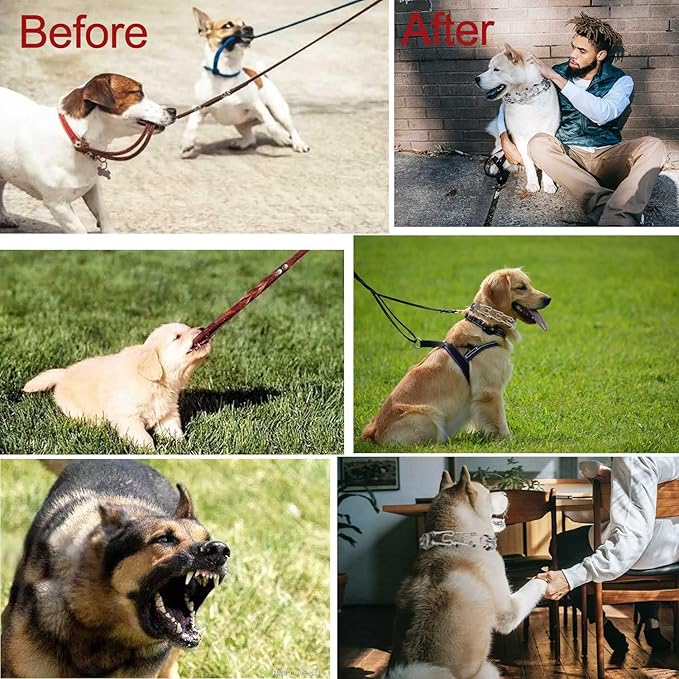 Darkyazi Durable Pinch Collar Stainless Steel Dog Adjustable Pet Training Collar for Medium Large Dogs (Large (2 Pack), Silver)