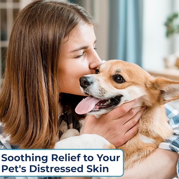 Replenish Anti Itch Dog Shampoo with Ketoconazole and Chlorhexidine for Dog Skin Irritation Treatment & Itchy Skin Relief - Dr. Rachel’s Veterinary Formula Dog Shampoo with Cucumber Melon Scent - 8 oz