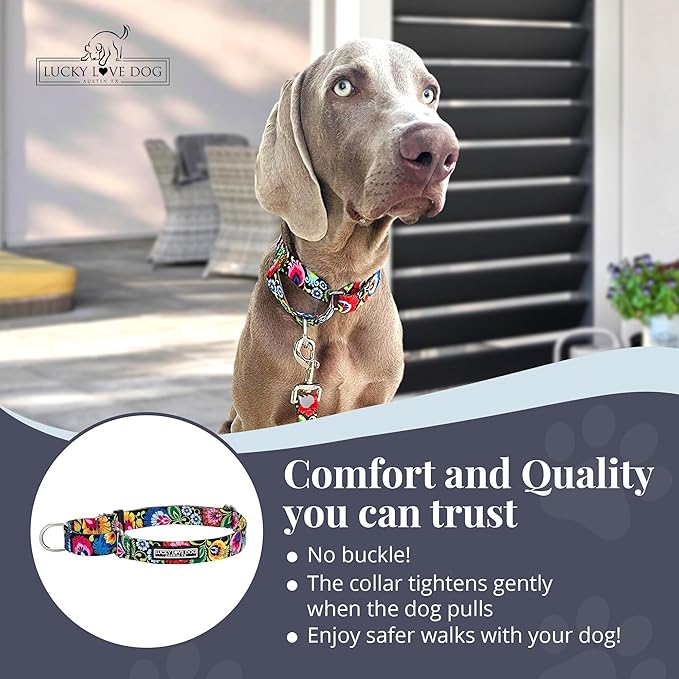 Lucky Love Dog Martingale Collar and Leash Set, Premium No Slip Collar and Leash Set, Floral Vivid Pattern Martingale Collar, Great for Whippets, Greyhounds, and More (Blackbird, Medium - Combo)