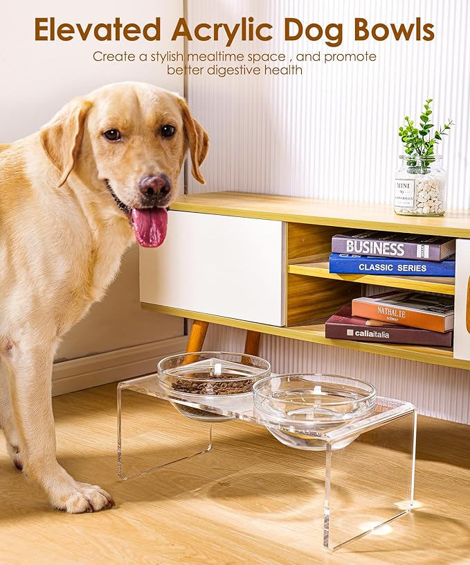 Acrylic Elevated Dog Cat Bowls Pet Feeder Double Bowl Raised Stand Comes with 2 Removable Glass Bowls and 2 Stainless Steel Bowls.Perfect for Large Dogs, 7.2" Tall