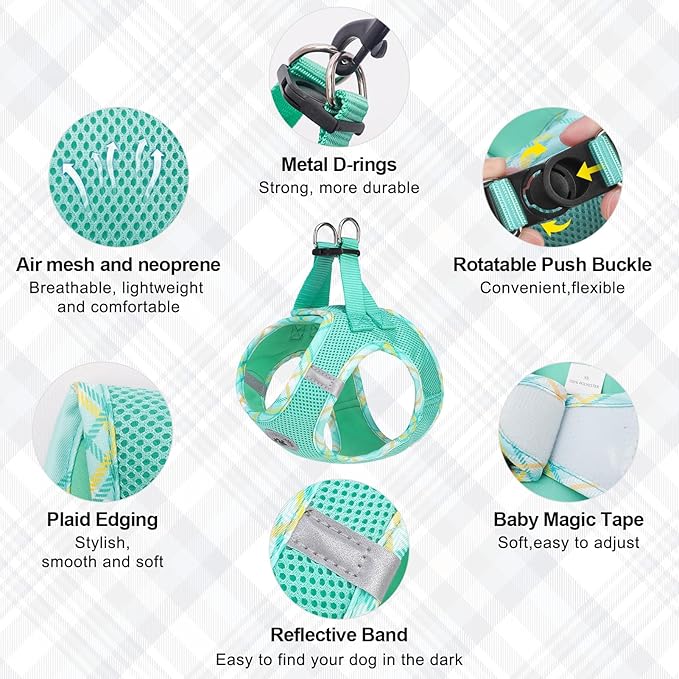 BEAUTYZOO Dog Harness and Leash Set for Small Medium Dogs,No Pull Step-in Harness for Puppy S M Sized Dogs and Cats,Air Mesh Adjustable Breathable Soft No Chock Escape Proof Vest Harnesses,Green XS