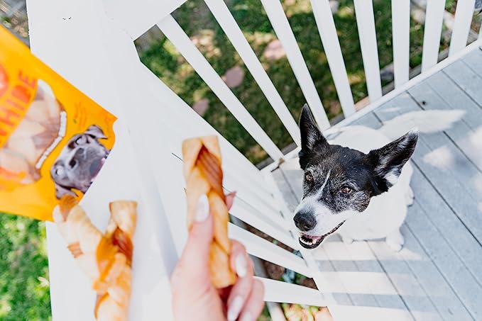 Cadet Chewalicious Chewy 'N Crunchy Braid Dog Treats, Limited Ingredient Rawhide-Free Dog Chews, Long-Lasting Made with Real Chicken, 3 Count (Pack of 1)