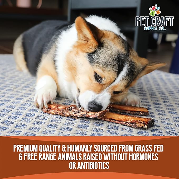 Pet Craft Supply All Natural Healthy Buffalo Rib Bones Dog Chews Treats for Aggressive Chewers Long Lasting Rawhide Free Premium Grade Slow Roasted for Small or Medium Dogs 10 Pack