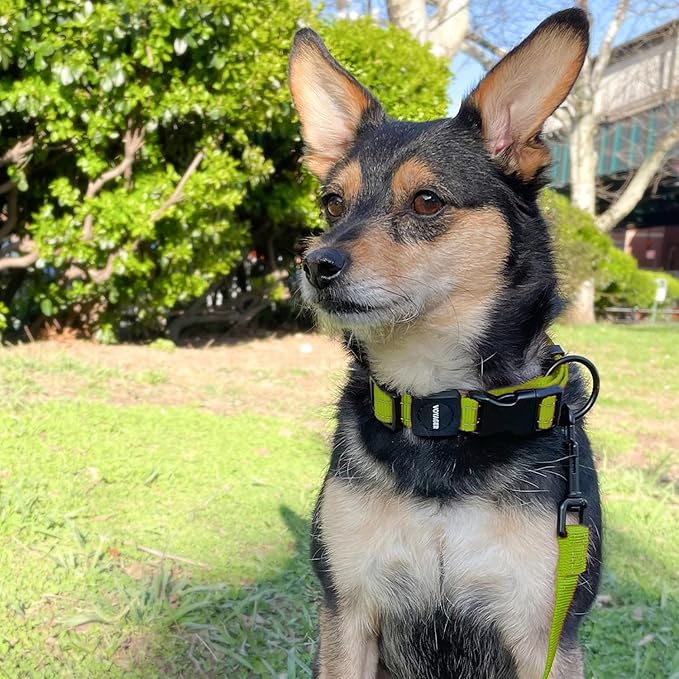 Voyager Reflective Dog Leash Collar Set with Neoprene Handle Supports Small, Medium, and Large Breed Puppies, Cute and Heavy Duty for Walking, Running, and Training - Lime Green, L