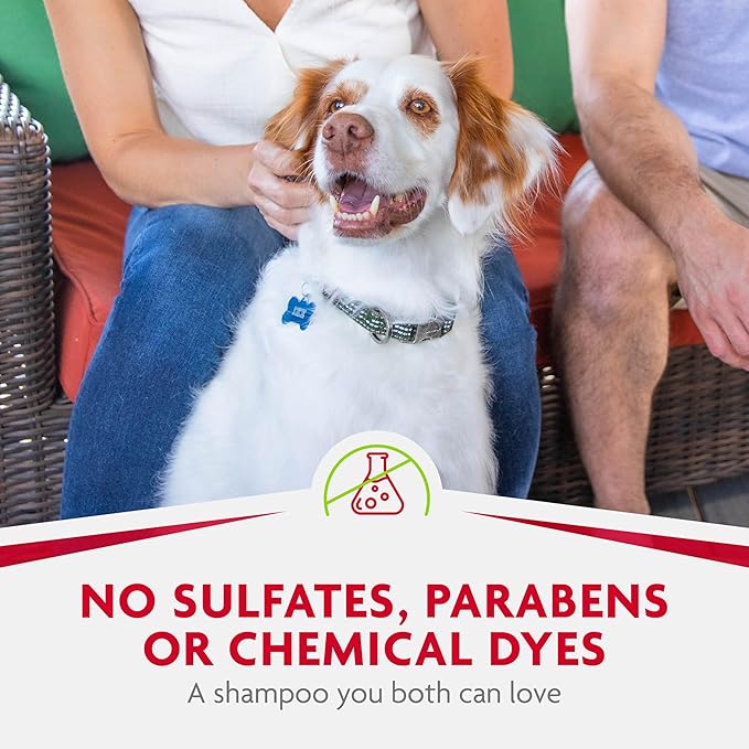 FURminator Dry Shampoo for Dogs, 7 Ounces, Helps Freshen Pet's Coat, Extends Time Between Traditional Baths