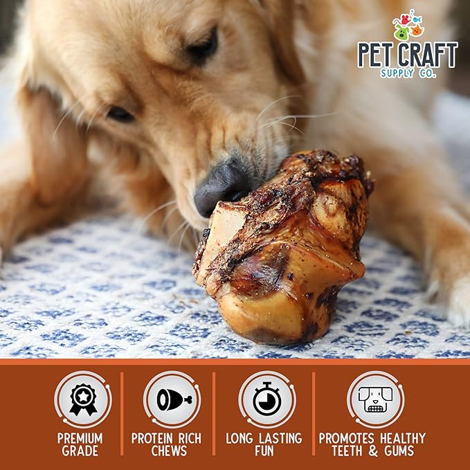 Pet Craft Supply ALL Natural Healthy Buffalo Femur Center Knuckle Bones Dog Chews Treats for Aggressive Chewers Long Lasting Rawhide Free Premium Grade Slow Roasted for Medium Large Dogs