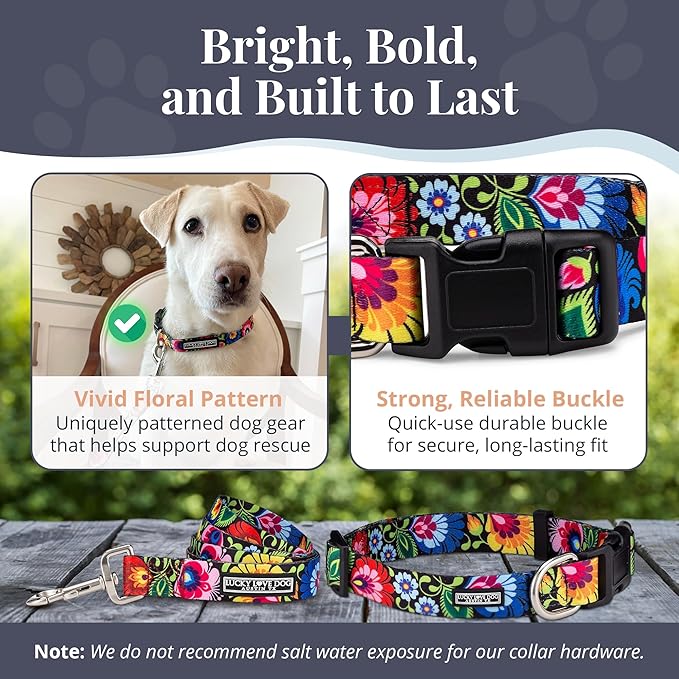 Lucky Love Dog - Easy Click Buckle Dog Collar with Leash Set Combo, Durable & Comfortable Collar for Male & Female Dogs, Pet Collar for Small to Large Dogs, Secure Fit - Blackbird Combo, Medium