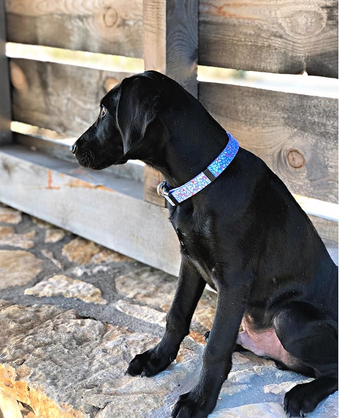 Lucky Love Dog Christmas Holiday Winter Dog Collars | Cute Colorful Comfortable Collar for Small Medium Large Dogs | Girl Boy Dog Collar | Part of Purchase Donated to Dog Rescue