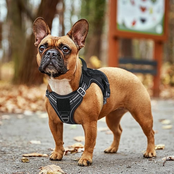 rabbitgoo Dog Harness Small Sized No Pull, Tactical Service Dog Vest with Molle and Control Handle, Adjustable and Reflective Military Pet Harness for Easy Walking and Training, Black, S