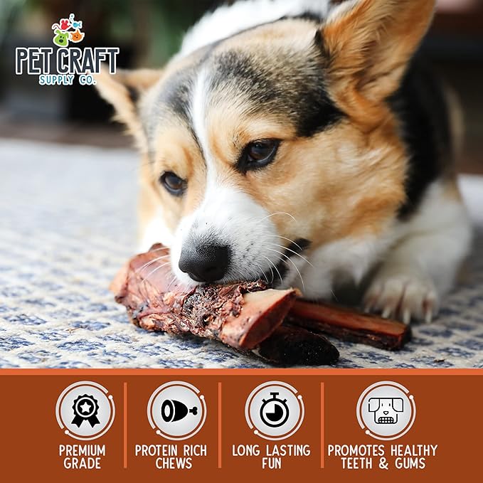 Pet Craft Supply All Natural Healthy Buffalo Rib Bones Dog Chews Treats for Aggressive Chewers Long Lasting Rawhide Free Premium Grade Slow Roasted for Small or Medium Dogs 10 Pack