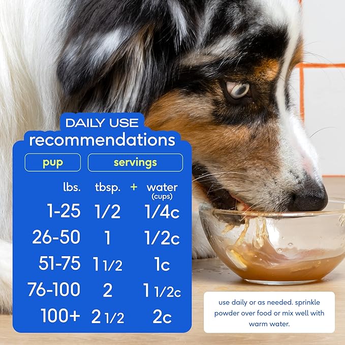 Native Pet Bone Broth for Dogs and Cats – Chicken Broth for Cats & Dogs - Dog Bone Broth Powder, Dog Food Topper for Picky Eaters - Dog Gravy Topper for Dry Food – Dog Broth & Cat Broth – 5.75 oz