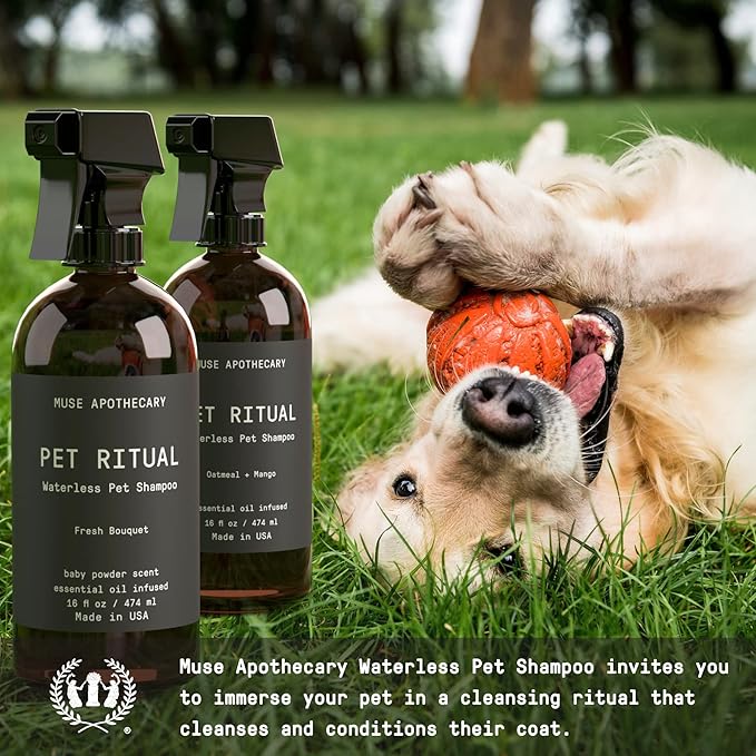 Muse Apothecary Pet Ritual Aromatic Waterless Pet Shampoo - No Rinse Dog Shampoo - Waterless Dog Shampoo for Large Dogs - Essential Oils Infused, 16oz Fresh Bouquet