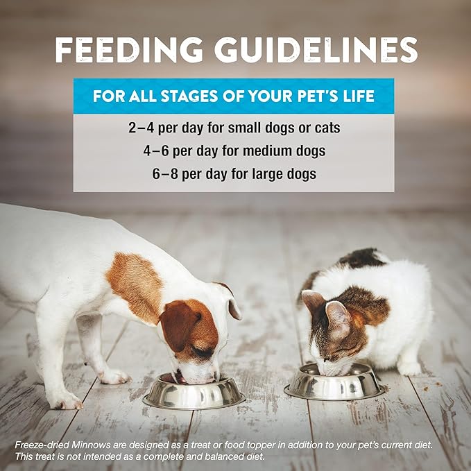 Northwest Naturals Raw Rewards Freeze-Dried Minnow Treats for Dogs and Cats - Bite-Sized Pieces - Healthy, 1 Ingredient, Human Grade Pet Food, All Natural - 1 Oz (Pack of 3)