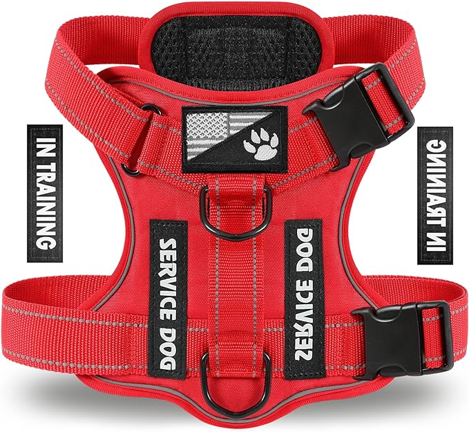 Demigreat Service Dog Harness, Reflective Dog Vest Harness with 5 PCS Patches, Adjustable Soft Oxford Pet Harness, Inner Layer Mesh, Easy to Control for Dogs (All-RED, X-Large (Pack of 1))
