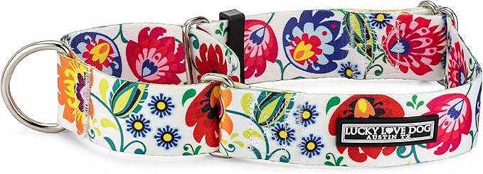 Lucky Love Dog Wide Martingale Dog Collar - No-Slip, Durable, & Soft Webbing 1.5 inch Martingale Collar for Dogs Male and Female - Ideal for Training & Walking, Stylish Ladybird Pattern, Medium Size
