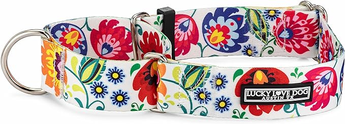 Lucky Love Dog Wide Martingale Dog Collar - No-Slip, Durable, & Soft Webbing 1.5 inch Martingale Collar for Dogs Male and Female - Ideal for Training & Walking, Stylish Ladybird Pattern, Large Size