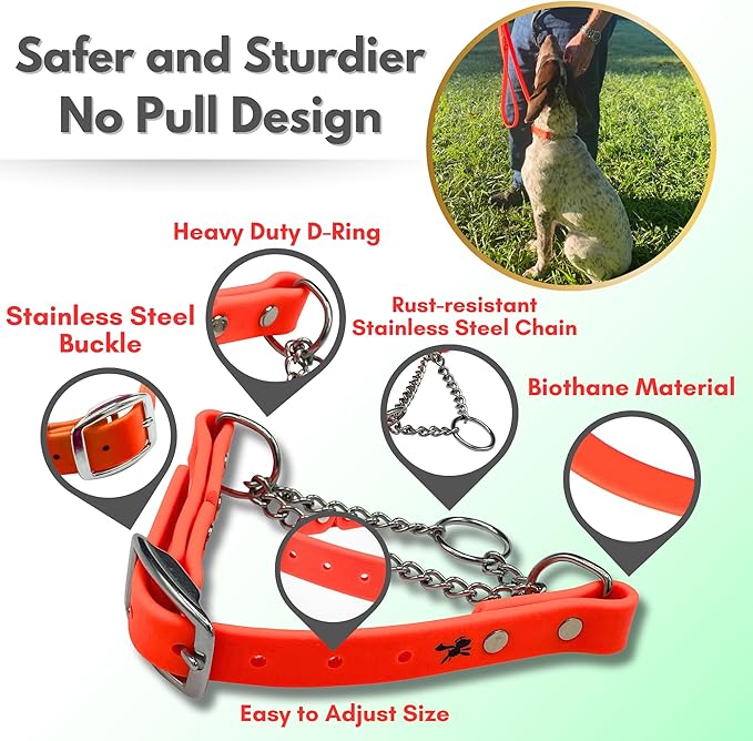 Martingale Collar for Dogs, Biothane, Stainless Steel Hardware, No Pull, Made in The USA, Professional Grade, Medium, Orange