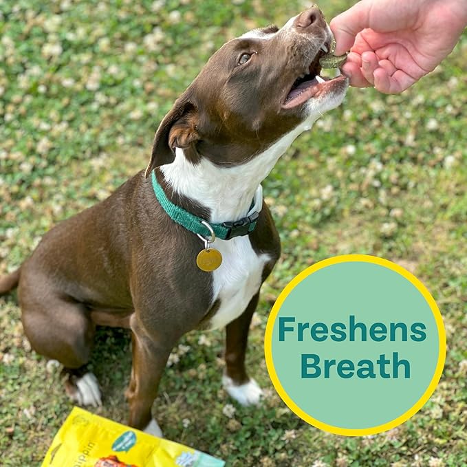 Chippin Plant-Based Spirulina Healthy Supplement & Dog Treat (5oz, 1-Pack) | Stop Grass Eating | Hypoallergenic, Chicken-Free Vegan Protein | 100% Made in USA