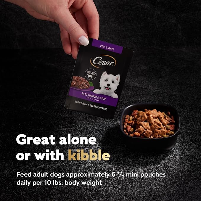 Cesar Filets in Gravy Wet Dog Food Filet Mignon Flavor and Rotisserie Chicken Flavor Variety Pack, 1.76 oz. Mini-Pouches, 20 Pack (Pack of 2)