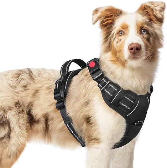 rabbitgoo Dog Harness Medium Sized, No Pull Pet Harness with 3 Buckles, Adjustable Soft Padded Dog Vest with Instant Control Handle, Easy Walking Reflective Pet Vest for Medium Dogs, Black, M