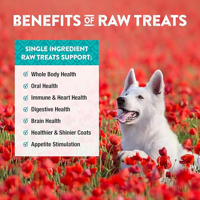Northwest Naturals Raw Rewards Freeze-Dried Chicken Breast Treats for Dogs and Cats - Bite-Sized Pieces - Healthy, 1 Ingredient, Human Grade Pet Food, All Natural - 10 Oz