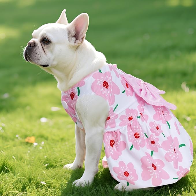choyaxo Floral Dog Dress Cute Dog Skirt Pet Dress Summer Pet Clothes for Puppy Small Cats