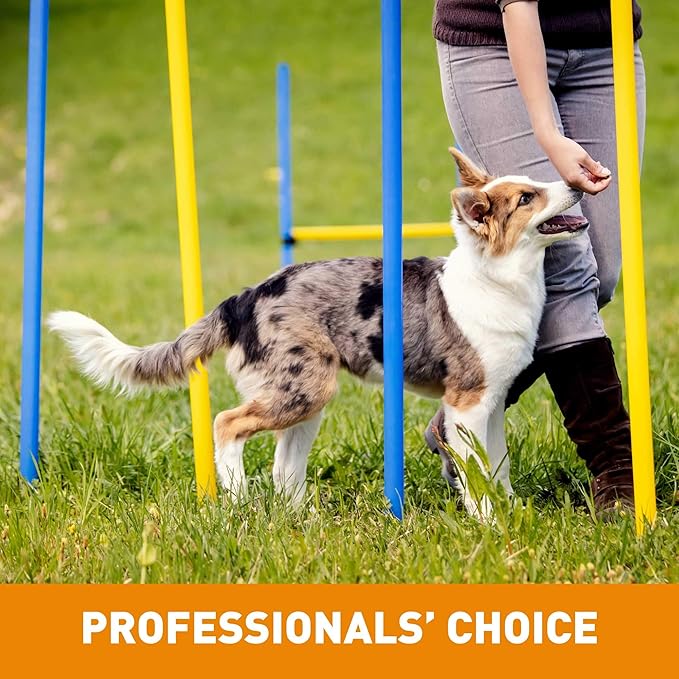 Cloud Star Tricky Trainers Chewy - Cheddar, 4 Pack of 5 oz Bags