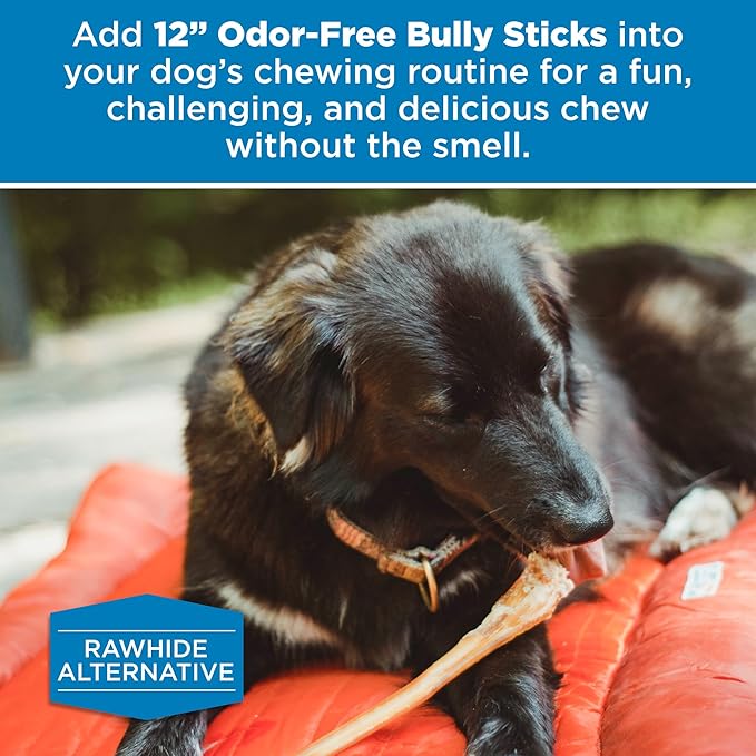 Best Bully Sticks 12 Inch Odor Free Bully Sticks for Dogs, 24 Pack, Bulk Bag 100% Natural, Grass-Fed Beef, Digestible Bully Bones, Grain and Rawhide Free, Odorless Dog Bully Sticks for Large Dogs