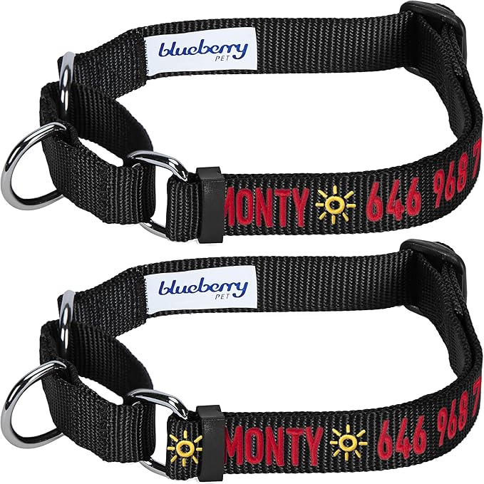 Blueberry Pet Essentials Personalized Martingale Safety Training Dog Collar, Black, Small, Adjustable Customized ID Collars for Dogs Embroidered with Pet Name & Phone Number