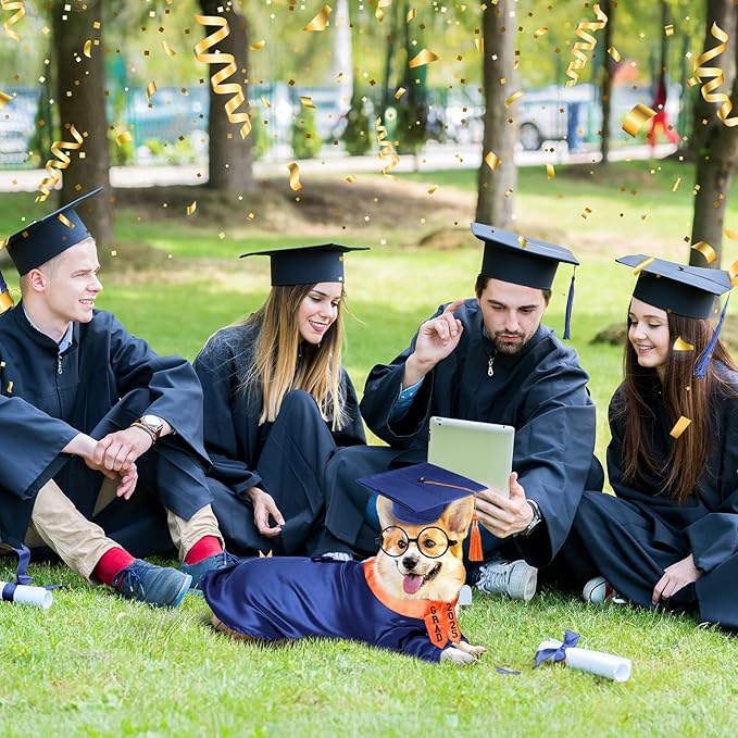 5 Pcs Dog Graduation Costume Set Include 2025 Pet Graduation Gown with Stole Puppy Grad Cap Lensless Glasses DIY Letter Stickers for Dogs Cats Holiday Costume Accessory(Blue Orange,L)