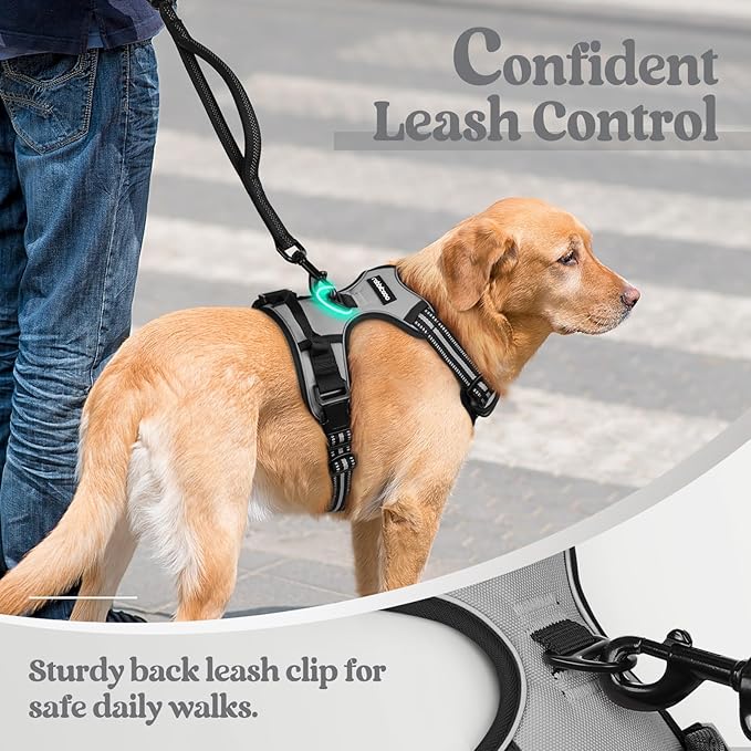 rabbitgoo Dog Harness, No-Pull Pet Harness with 2 Leash Clips, Adjustable Soft Padded Dog Vest, Reflective No-Choke Pet Oxford Vest with Easy Control Handle for Small Dogs, Grey, S