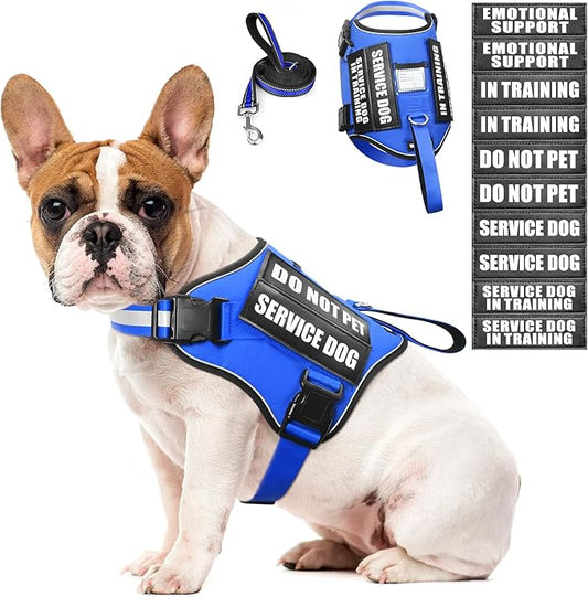 Service Dog Harness and Leash Set, Training Dog Vest with 10 Dog Patches, Emotional Support Therapy Dog Vest Harness for Small Medium Large and Extra Large Dogs(Blue, M)
