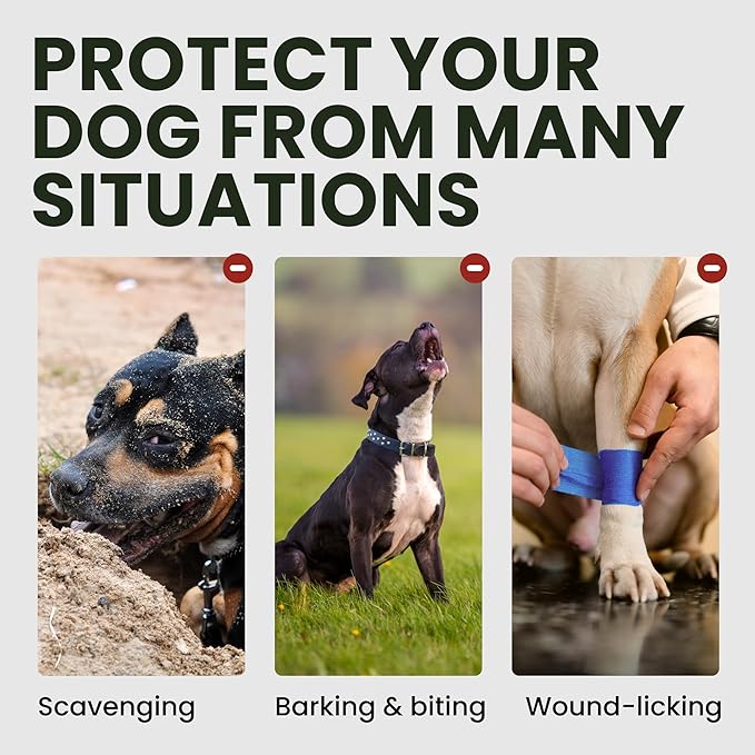 BRONZEDOG Dog Muzzle Wire Basket Metal Mask for Small, Medium and Large Dogs, Breathable, Dog can Drink, Adjustable, Padded, Training, Prevents Biting (Size 5: Belgian Malinois & Golden Retriever)