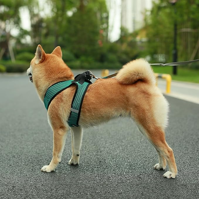 Voyager Step-in Air Dog Harness - All Weather Mesh, Reflective, No Pull Harness for Small, Medium Dogs, Cats - Secure with Hook & Loop Fastener, Buckle, Double D-Rings - Turquoise 2-Tone, S