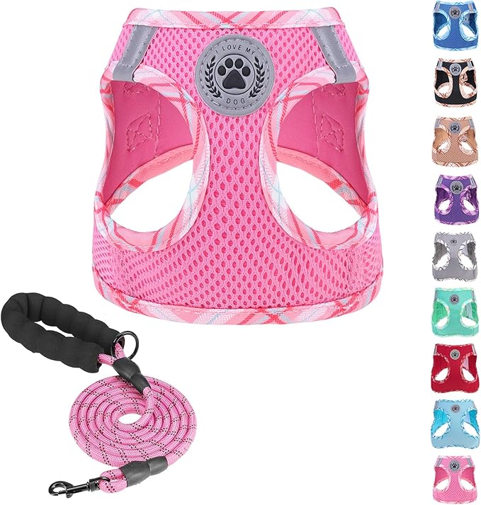 BEAUTYZOO Dog Harness and Leash Set for Small Medium Dogs,No Pull Step-in Harness for Puppy S M Sized Dogs and Cats,Air Mesh Adjustable Breathable Soft No Chock Escape Proof Vest Harnesses,Pink L