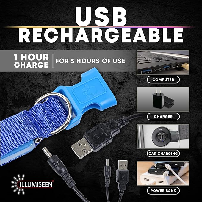 Illumiseen LED Dog Collar USB Rechargeable - Bright & High Visibility Lighted Glow Collar for Pet Night Walking - Weatherproof, in 6 Colors & 6 Sizes (Orange Medium)