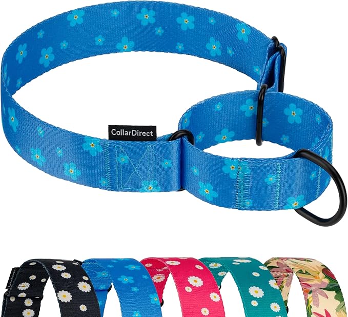 CollarDirect Martingale Collars for Dogs Heavy Duty Floral Pattern Female Safety Nylon Training Wide Collar Flower Design Large Medium (M, Neck Size 12"-17", Navy Blue)