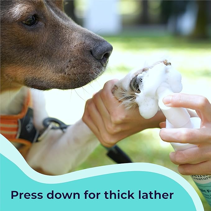 GENTLE CREATURES Magic Foam - Scrubber - Sulfate-Free, Waterless Shampoo Paw Cleaner for Dogs, Cats, Pets - Dry Shampoo, Foot Cleaner Brush - with Orange, Odor Control Wash - Good for Puppy
