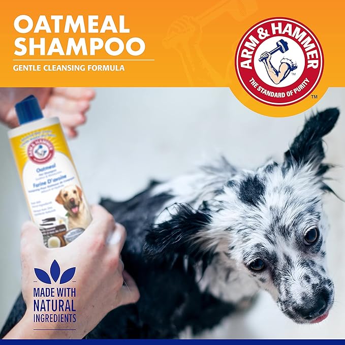 Arm & Hammer for Pets Oatmeal Shampoo for Dogs | Best Dog Shampoo for Dry, Itchy Skin | Soothing Oatmeal Dog Shampoos in Warm and Inviting Vanilla Coconut Scent, 16 oz,White