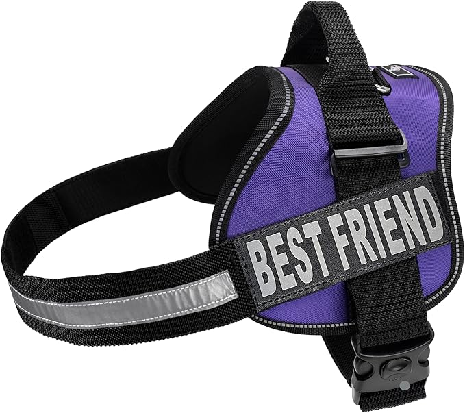 Doggie Stylz No Pull Dog Harness for Small, Medium, Large Dogs - Fully Adjustable - Reflective Best Friend Patches with Handle - No Choke Design - Dog Collars, Harnesses & Leashes - Pet Vest