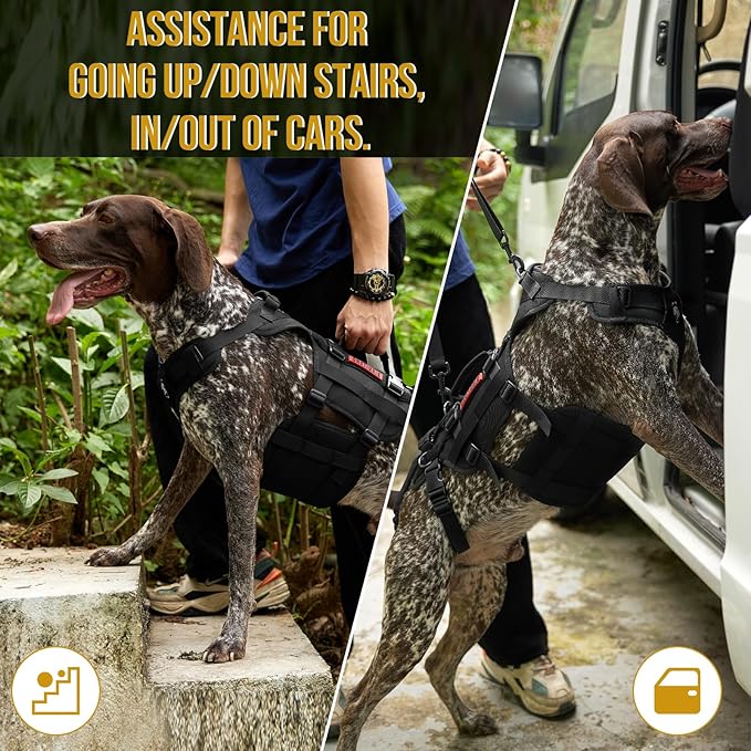 OneTigris Dog Lift Harness for Large Dogs, Dog Hip Support Brace, Full Body Dog Lifter with Handles Invictus Multifunctional Mobility Assistance Vest for Back Legs (Black, Large)