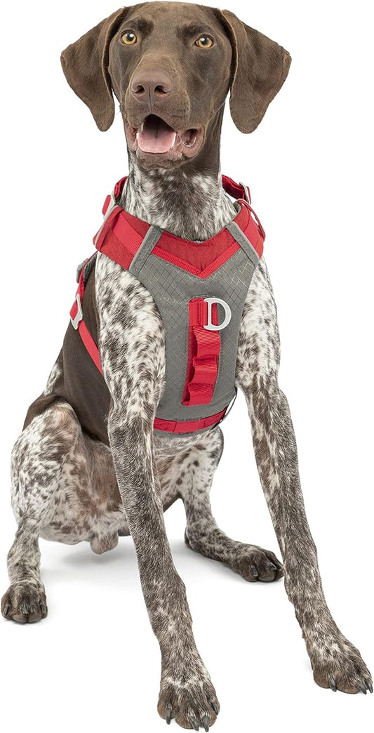 Kurgo Journey Air Dog Harness, Vest Harnesses for Dogs, Pet Hiking Harness for Running & Walking, Reflective, Padded, Includes Control Handle, No Pull Front Clip (Red, Medium)