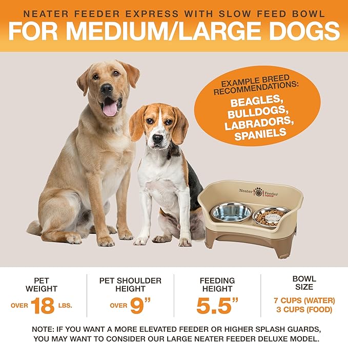 Neater Feeder - Express Model w/Slow Feed Bowl - Mess-Proof Dog Bowls (M/L, Cappuccino) Made in USA –Elevated, No Spill, Non-Tip, Non-Slip, Raised Stainless Steel Food/Water Pet Bowls Aid Digestion