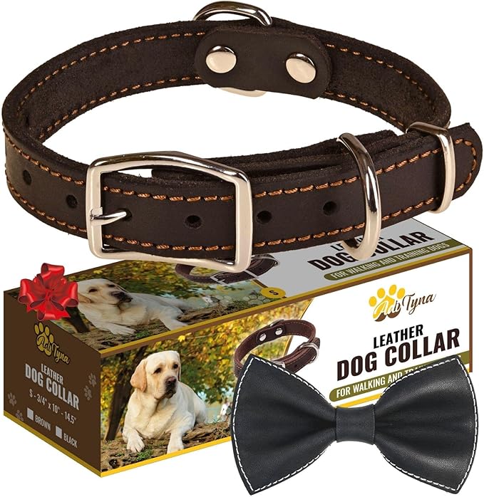 Heavy Duty Black Leather Dog Collar - Soft and Strong Dog Collar for Puppy or Small Dogs (Small: Fit 10" - 14.5" Neck, Black)