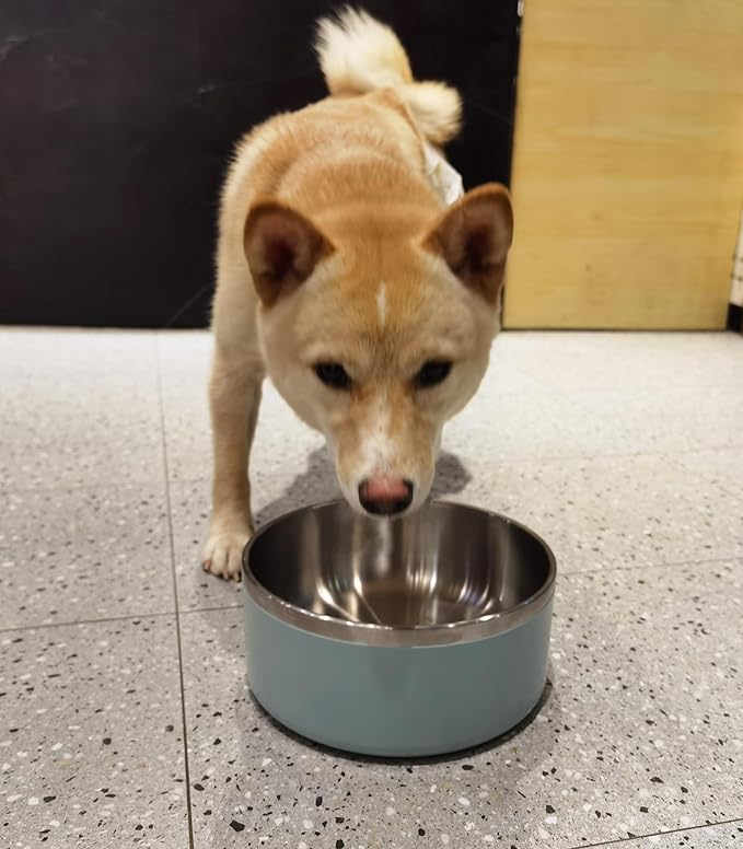 Stainless Steel Bowls for Large Dogs, 64 Ounces/8 Cup Food and Water Bowl, Double Wall Weighted Dish, Rustproof Metal Pet Bowls With Non-Slip Silicone Base